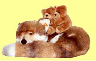 Ich bin der Ringelfuchs