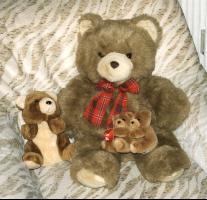 Das sind Willy-Billys Kids