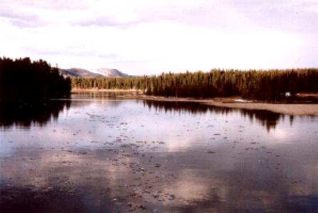 Fishing Bridge im Yellowstone Park