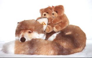Das ist unser Ringelfuchs mit den Brenbabies